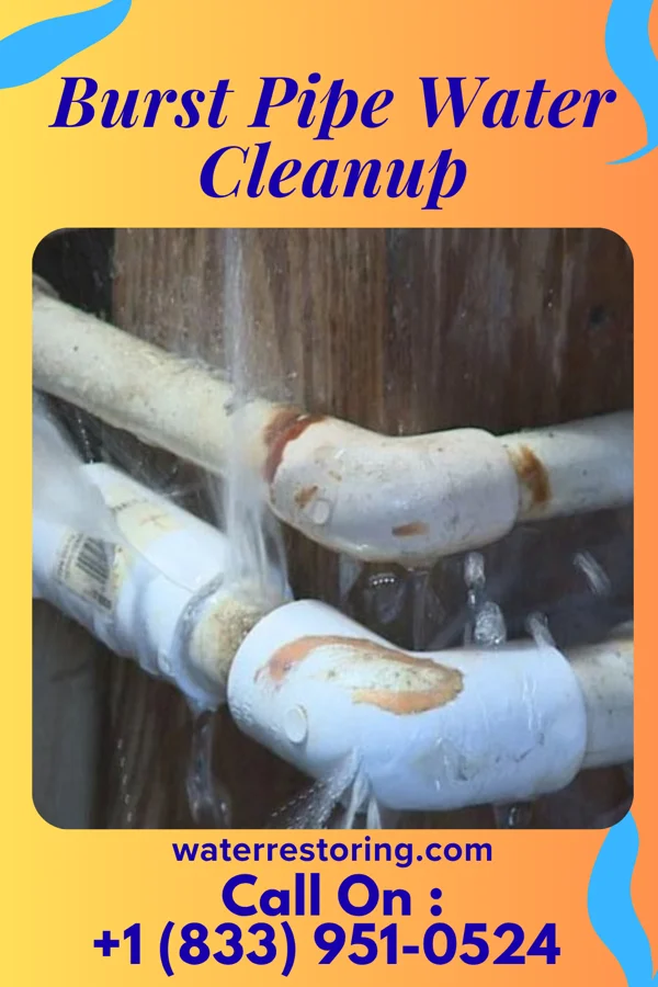 Burst Pipe Water Cleanup in Glenvar, VA
