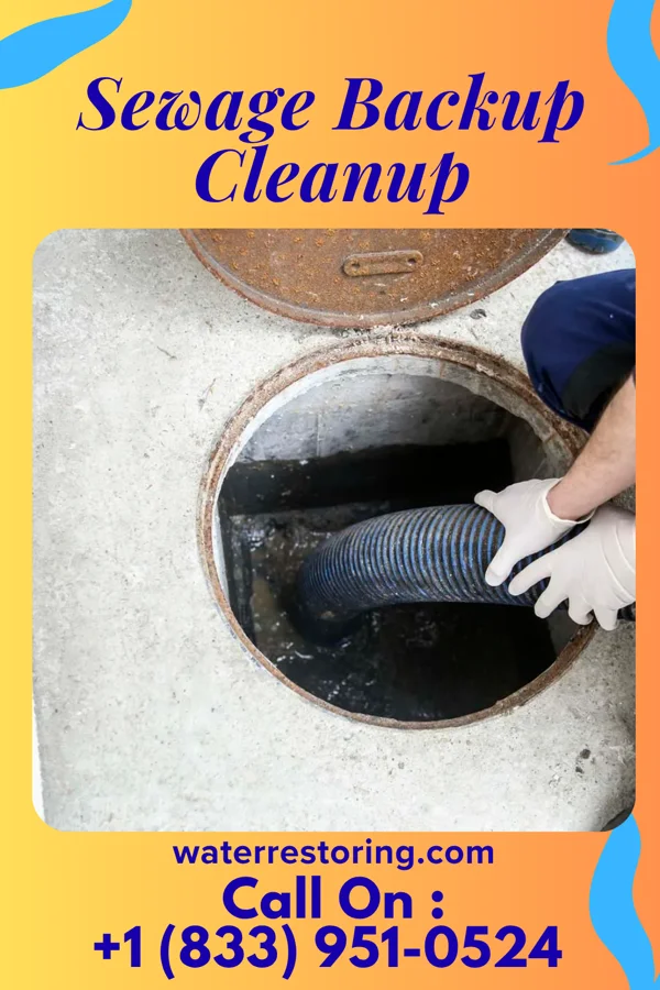 Sewage Backup Cleanup in Glenvar, VA