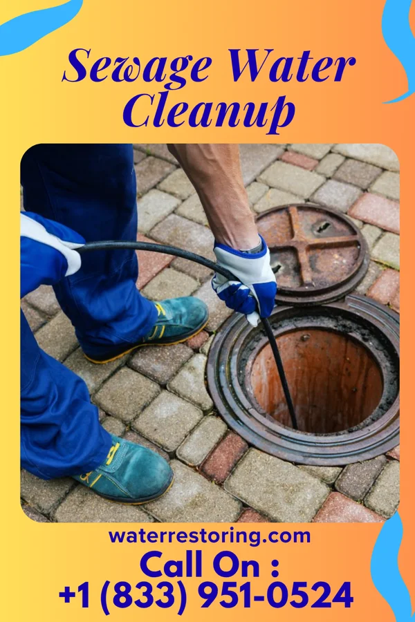 Sewage Water Cleanup in Glenvar, VA